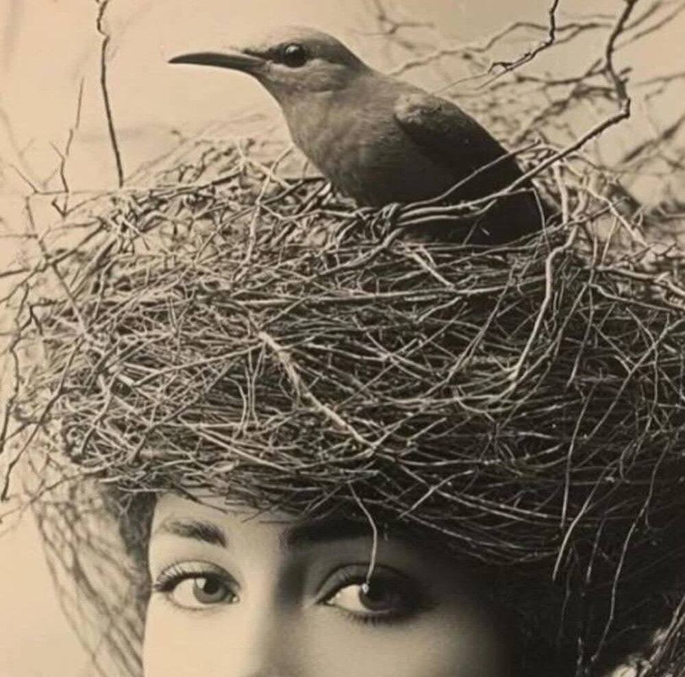 Meet your Posher, Gwendolyn